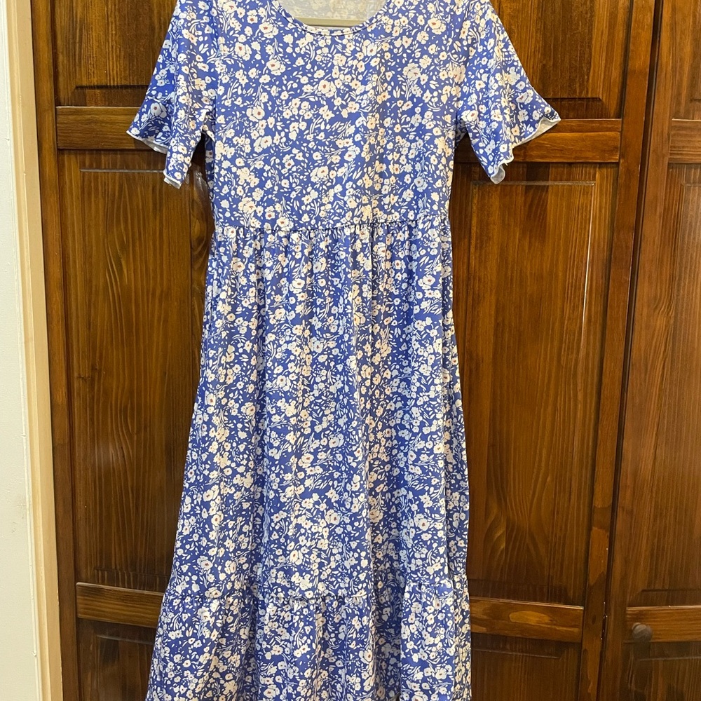 Floral Blue and White Dress